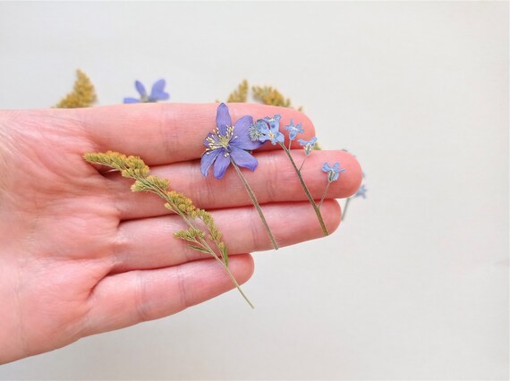15pcs Blue, Purple, White dried pressed flowers crafts