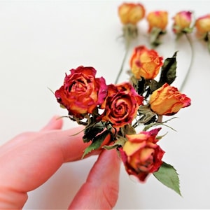 Dried mini roses 5pcs,  Small red yellow rose stem, Tiny yellow rose flowers for crafting