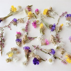 Dried Flower Mix: Tiny Multicolor Flowers for Resin Crafts