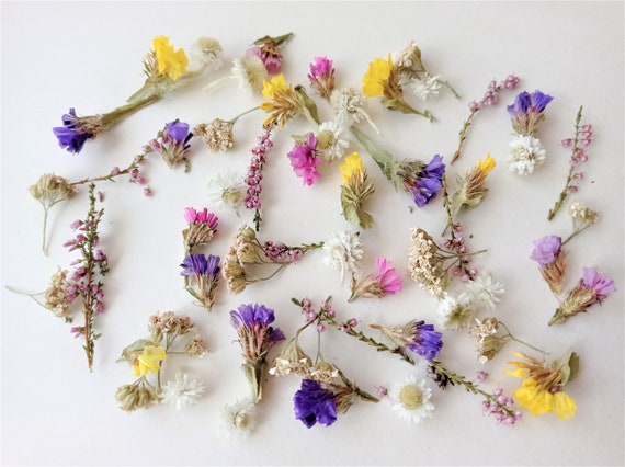 樹脂用ドライフラワー 50ml ボックス、極小ドライフラワー、ミニ