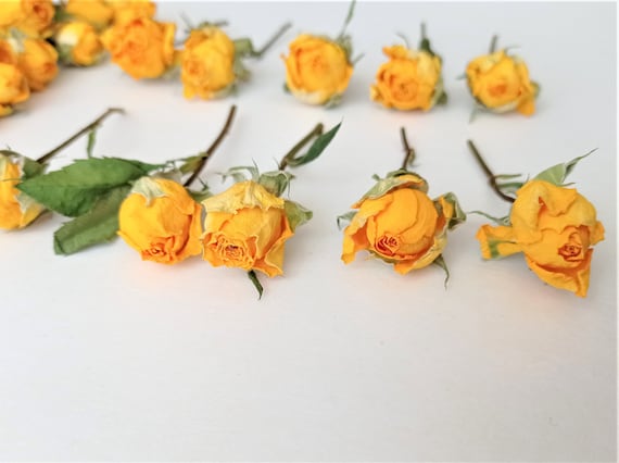 5pcs Dried Mini Roses, Dried Orange Yellow Roses, Tiny Dried