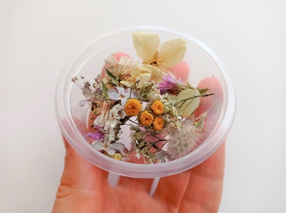 Mini flores secas para caja de resina 50ml, Flores pequeñas secas, Set de flores  pequeñas secas, Flor de resina multicolor -  España