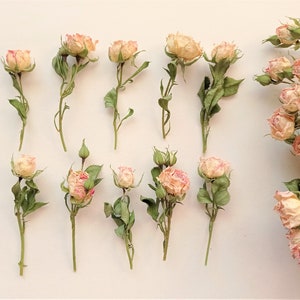 May include: Dried pink and cream roses with green stems and leaves are arranged on a white surface. Some roses are in full bloom, while others are buds. A cluster of roses is in the upper right corner.