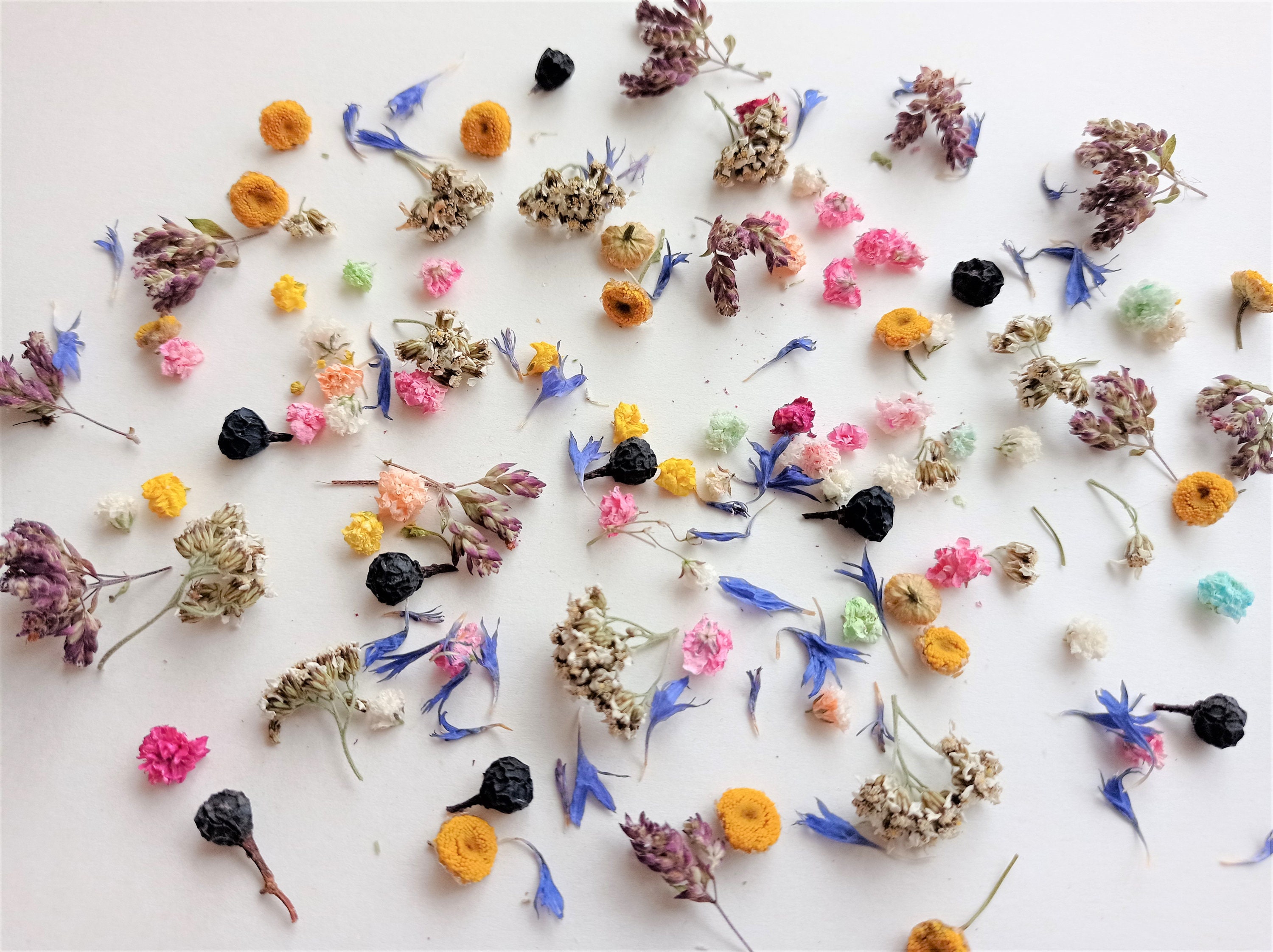 Tiny Mixed Flowers for Crafts 50ml Box, Dried Mini Flower Set for Crafts,  Small Flower Set 