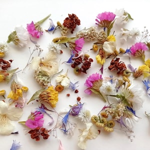 Dried Flower Mix: Tiny Assorted Flowers for Resin Crafts