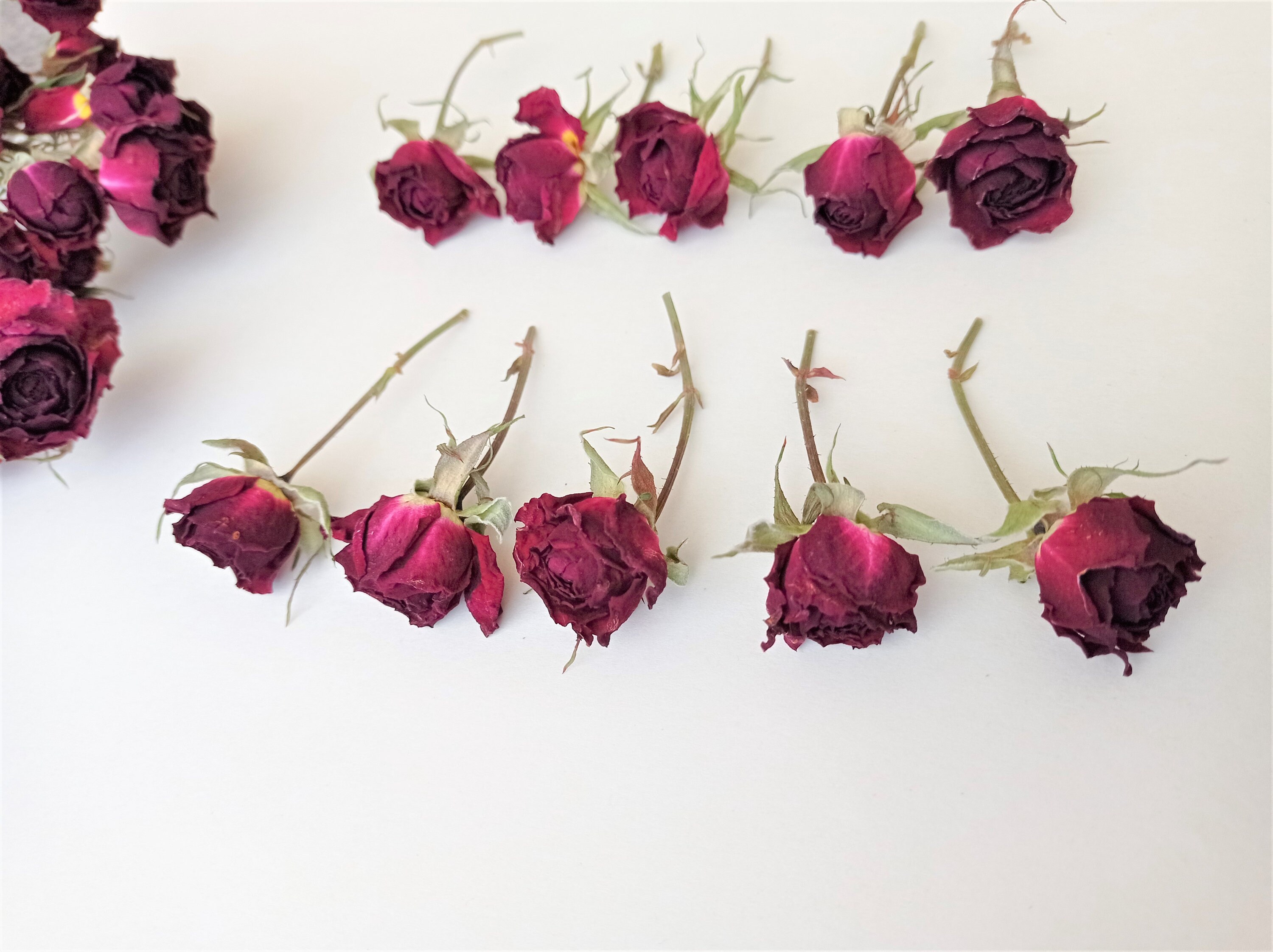 Dried Tiny Red Roses 5pcs, Small Burgundy Roses, Dark Red Dried Roses for  Decors 