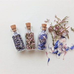 1 mini bottiglia di fiori secchi, Petali secchi nel barattolo, Bottiglia di vetro botanica, Piccoli fiori eterni nel barattolo, Barattolo di fiori di campo,