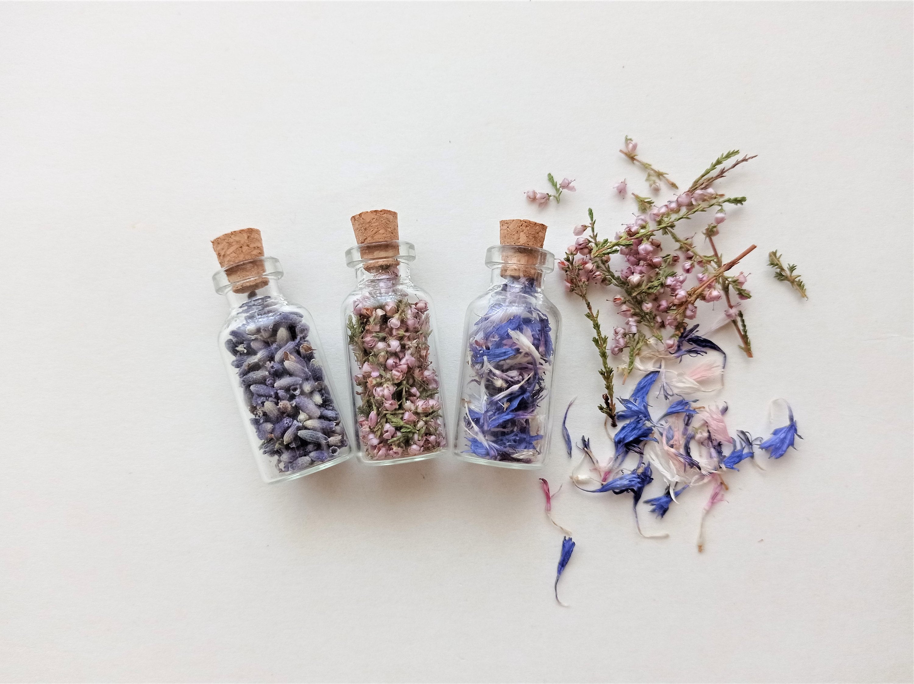 Mini botella de flores secas: pétalos de flores silvestres en frasco de  vidrio - Etsy México, image size:3000x2244