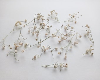 Mini white dried gypsophila 50ml box, Tiny ivory babys breath set, Mini flower branches for wedding decoration
