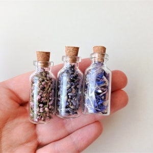 Op de afbeelding: Drie kleine glazen flesjes met kurken stoppen gevuld met gedroogde lavendel, heide en korenbloem.