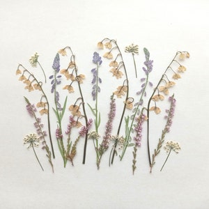 Ensemble de fleurs sauvages pressées séchées, fleurs roses séchées, fleurs jaunes pressées, mélange de fleurs pressées, art floral séché, fleurs pour bougies