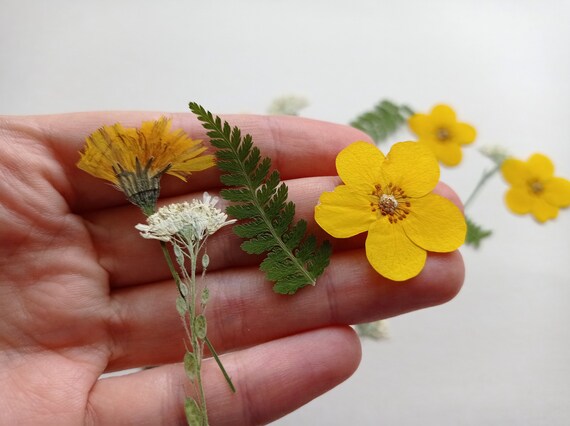 140 Pcs Dried Pressed Flowers for Resin, Real Pressed Flowers Dry
