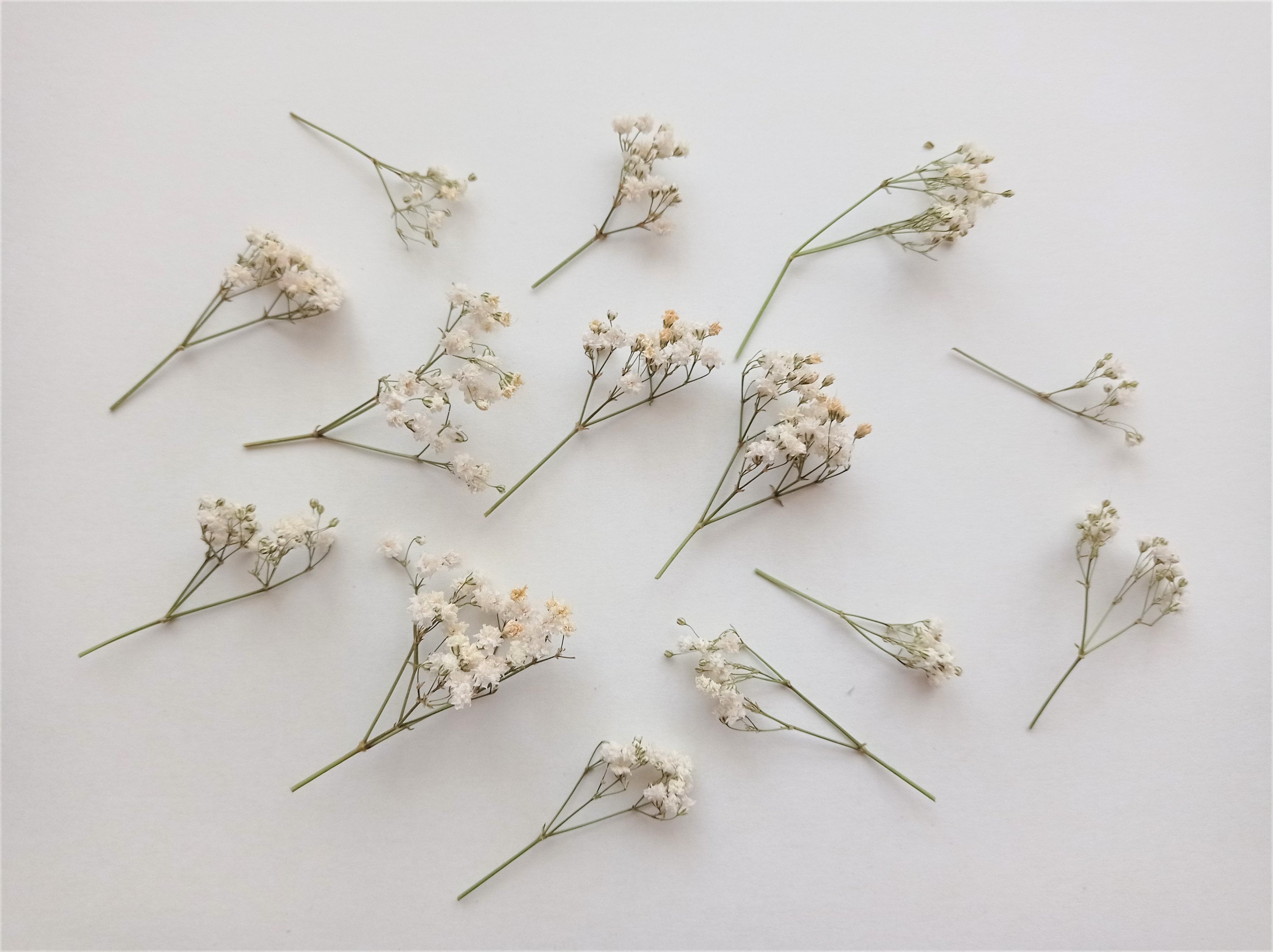 10pcs Artificial Fake Flowers Babys Breath Real Touch Gypsophila Floral in Bulk for Home Wedding Garden Decor (White Long Stem), Size: 22