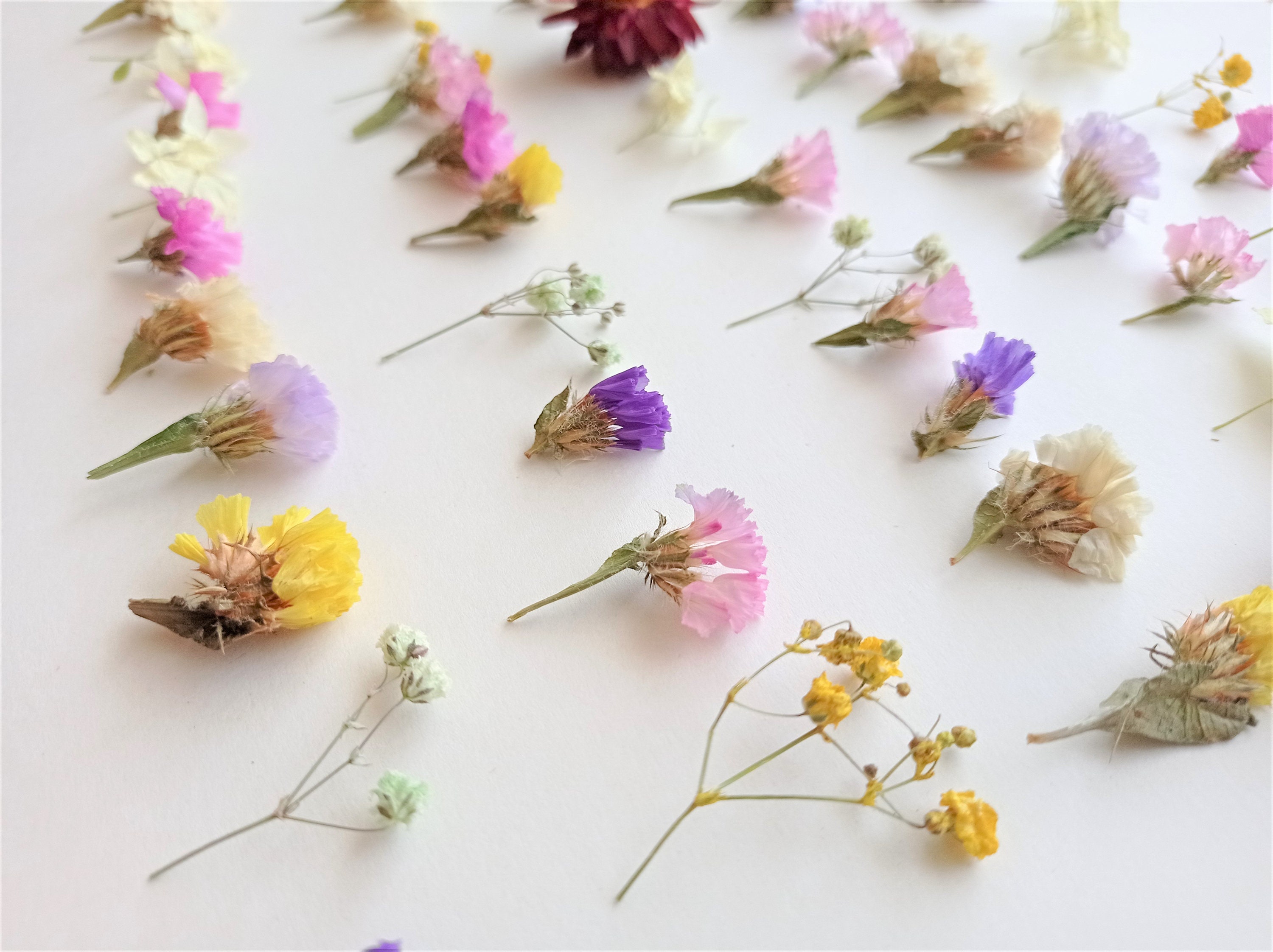 Baywell 15Pcs Dried Flowers for Resin Molds, Natural Dried Pressed