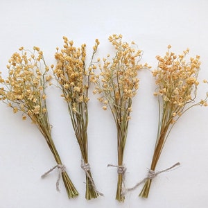Dried lily of the valley bouquet, Beige mini flowers, Tiny convallaria majalis, Real natural dried flower for wedding