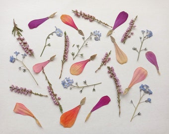 Pressed dried flowers 25pcs, Small pressed flower set, Dried flower mix for crafts