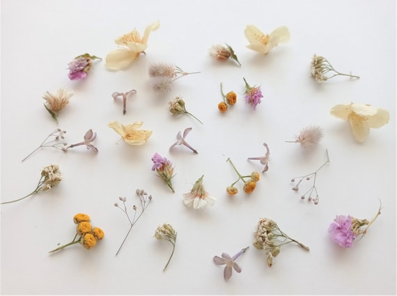 100 Pcs Small Dried Flowers, Tiny Dry Flowers,flowers for Resin,mini Flower  for Resin Craft, Dry Flower Supply,flower for Resin Art 