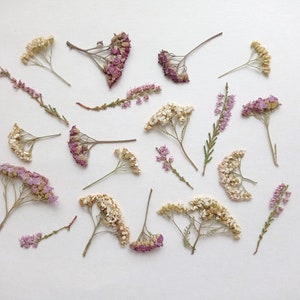 Pressed flower set 20pcs, Dried pressed pink summer flower mix, Bulk purple pressed delicate flowers, Pressed greenery, Pressed botanicals