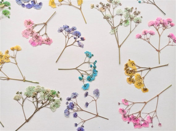 押し花購入禁止 （花冠♡押し花風iPhoneケース iPhoneケース・カバー 