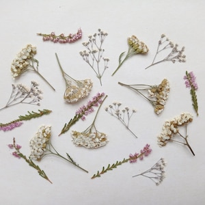 Fleurs séchées pressées 18 pcs, Petites fleurs sauvages blanches pressées, Fleurs et feuilles pressées blanches et roses, Scrapbooking, Parure de fleurs en résine