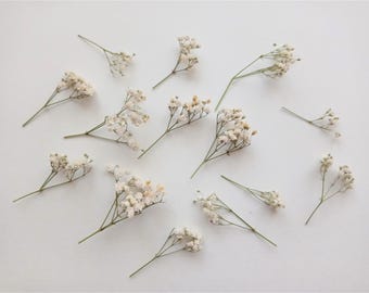 10 romigbeige gedroogde stelen: kleine bloemen om te knutselen met hars