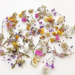 Dried Mini Flower Mix: Purple, White, Yellow - Craft Supplies