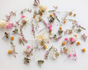 Dried tiny flowers for resin 50ml box, Dried bulk mini flowers, Small assorted flowers for crafts