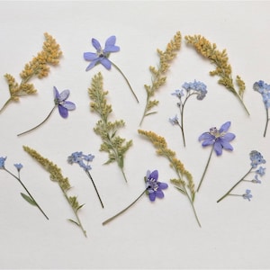 Juego de 15 flores prensadas, flores secas de color púrpura y azul, pequeñas flores amarillas prensadas para manualidades.
