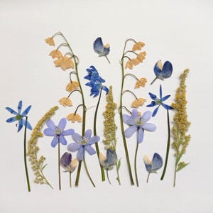 Set di fiori selvatici essiccati e pressati, fiori blu essiccati, fiori gialli essiccati, mix di fiori vintage essiccati, fiori artistici essiccati, fiori per candele
