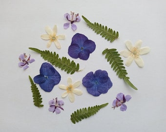 Pressed dried flowers 15pcs, Small pressed spring flower set, Dried wildflower mix for crafts