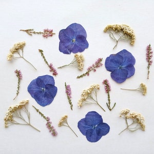 Lot de 20 fleurs pressées, Mélange de fleurs d'été pressées séchées, Fleurs violettes délicates pressées en vrac, Verdure pressée, Plantes botaniques pressées