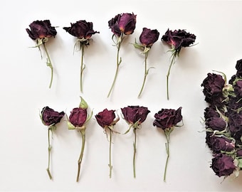 5pcs deep red mini roses, Dried small dark red roses, Red wine dried roses for crafts, Mahogany tone rose