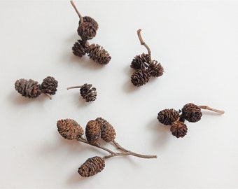 Mini biologische elzenkegels 15/30 stuks voor knutselen, aquariumdecoratie, sprookjestuinaccessoires