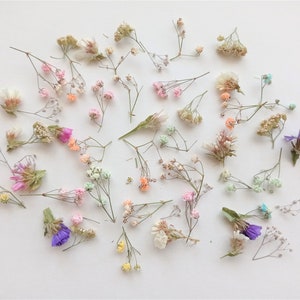 Dried mini flower mix 50ml, Dried tiny multicolor babys breath, Dried pastel gypsophilia