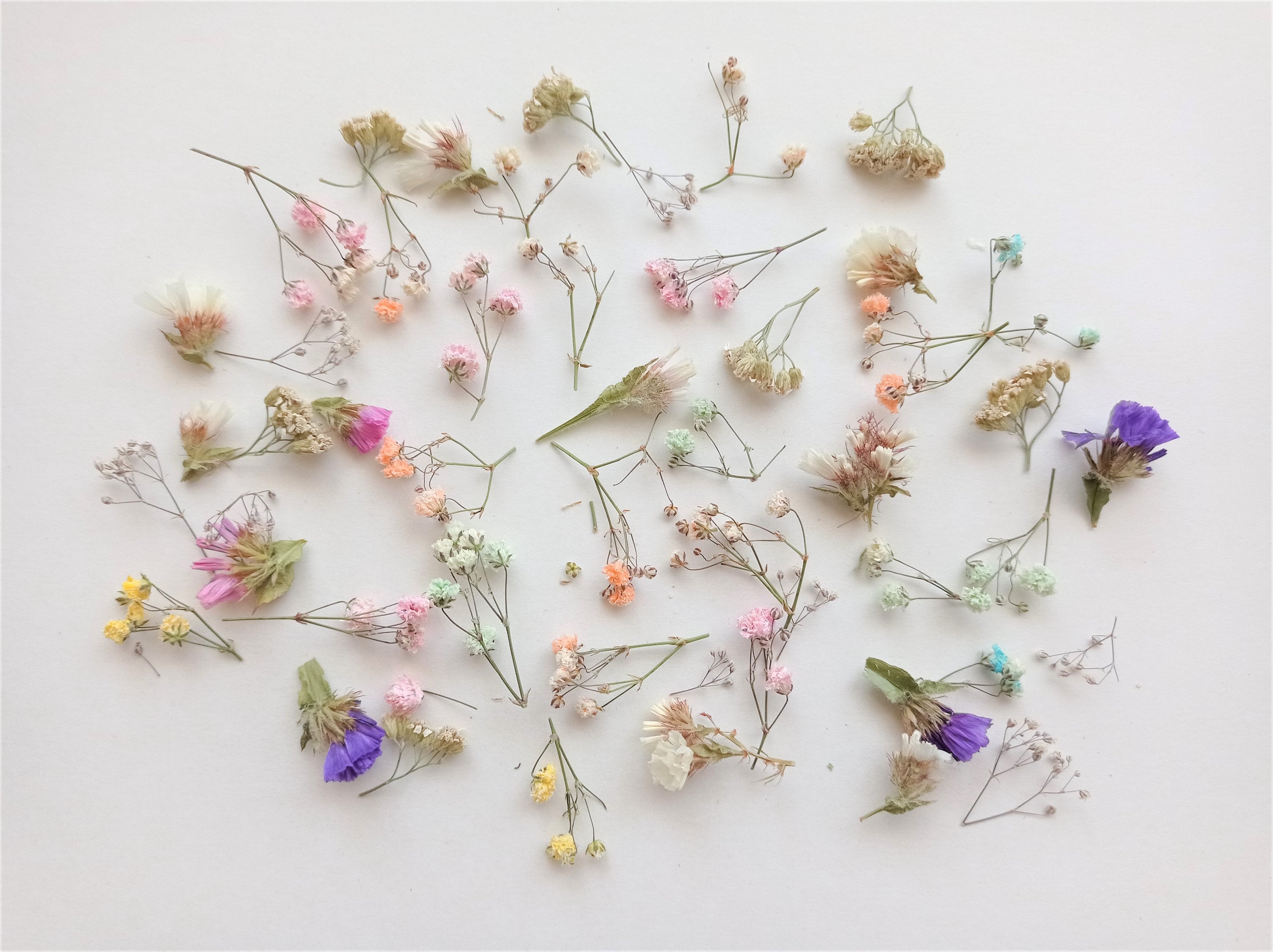 Dried mini flower mix 50ml, Dried tiny multicolor babys breath, Dried pastel gypsophilia