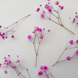 Gedroogde roze-paarse adem 10 stuks, minibloemboeket, gedroogde gipskruid, echte droge ministelen, kleine gedroogde bloemen voor harsdecoratie