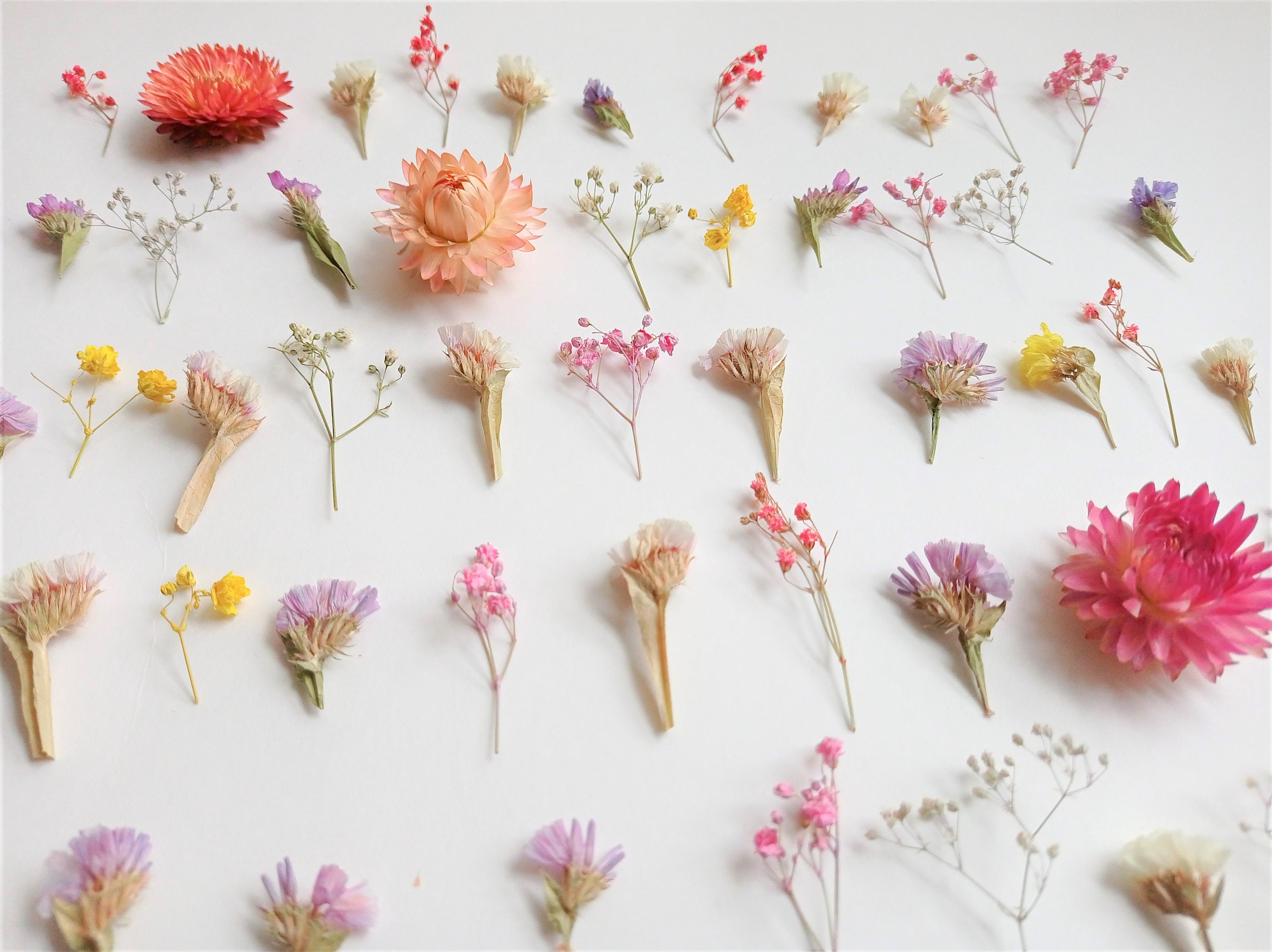 Dried Tiny Flowers 45pcs for Resin, Mini Dried Flowers for Rcrafts