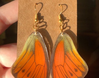 Real Vibrant Sulpher Butterfly Wing Earring