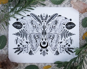Botanical Art print "Metamorphosis"