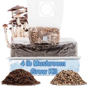 All-in-One Mushroom Grow Kit | 4 lb Grow-in-bag Kit/Monotub Refill | 1 lb Sterilized Grain Bag with Injection Port & 3 lb CVG Bulk Substrate