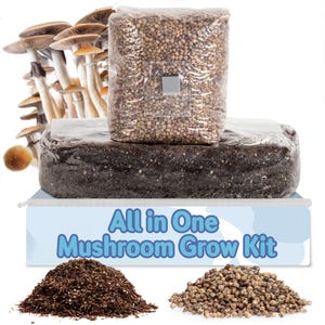 All-in-One Mushroom Grow Kit | 6 lb Grow-in-bag Kit/Monotub Refill | 2 lb Sterilized Grain Bag with Injection Port & 4 lb CVG Bulk Substrate