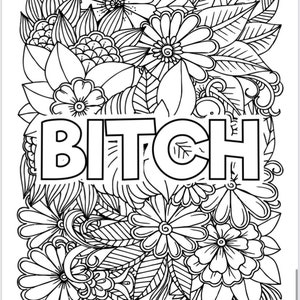 Adult Swearing Colouring Book
