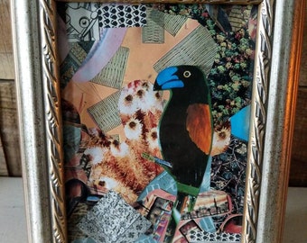 Original Art Collage Bird Nature Vintage Paper Framed Art