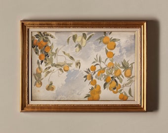 Naranjo Botánico Arte Impresión Primitiva Granja Citrus Cocina Decoración Pared Arte Antiguo Pintura mediterránea española IMPRIMIBLE