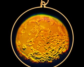 Può includere: Un ciondolo d'oro con un'immagine rotonda, testurizzata e arancione della luna.