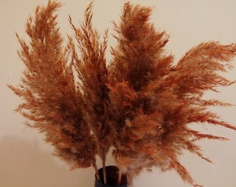 PAMPAS GRASS, Terracotta Colored, Price for one Flower, Dry Reeds, Dried Flowers, Dried Pampas Grass, Wedding Decor, Tall Vase, Centerpieces