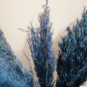PAMPAS GRASS Blue, Navy-Blue Colored, Blue Flowers, Dry Reeds, Dried Flowers, Dried Pampas Grass, Wedding Decor, Tall Vase, Centerpieces image 6