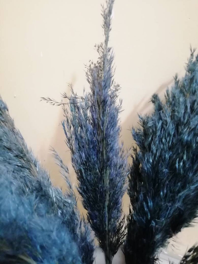 PAMPAS GRASS Blue, Navy-Blue Colored, Blue Flowers, Dry Reeds, Dried Flowers, Dried Pampas Grass, Wedding Decor, Tall Vase, Centerpieces image 6