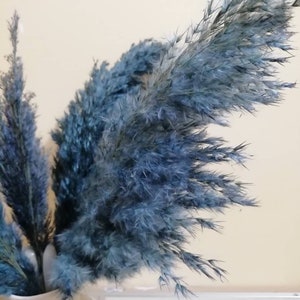 PAMPAS GRASS Blue, Navy-Blue Colored, Blue Flowers, Dry Reeds, Dried Flowers, Dried Pampas Grass, Wedding Decor, Tall Vase, Centerpieces image 3