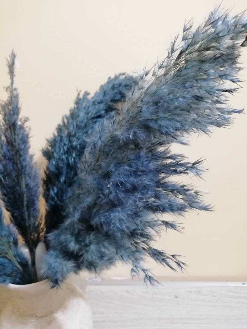 PAMPAS GRASS Blue, Navy-Blue Colored, Blue Flowers, Dry Reeds, Dried Flowers, Dried Pampas Grass, Wedding Decor, Tall Vase, Centerpieces image 3